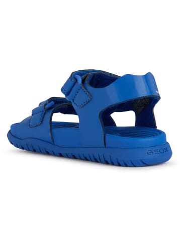 Geox Sandalen "Fusbetto" in Blau