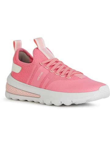 Geox Sneakers "Activart" in Rosa