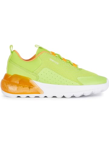 Geox Sneakersy "Activart" w kolorze zielonym