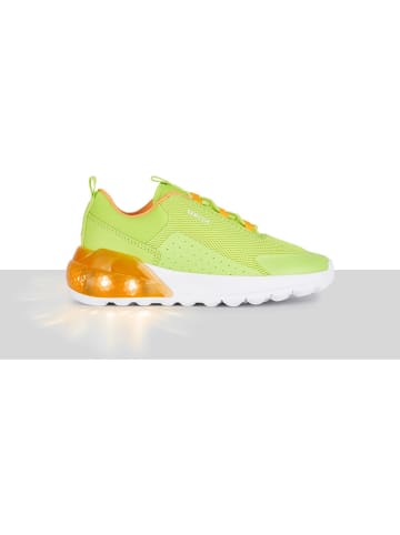 Geox Sneakers "Activart" in Grün