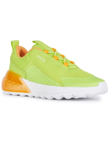 Geox Sneakersy "Activart" w kolorze zielonym
