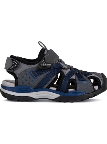 Geox Enkelsandalen "Borealis" zwart