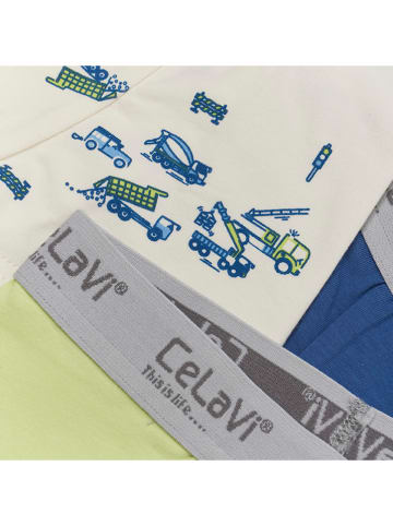 CeLaVi 3er-Set: Pantys in Grün/ Blau/ Beige