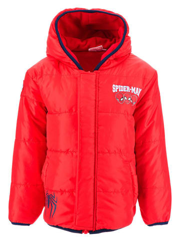 Spiderman Winterjacke "Spiderman" in Rot