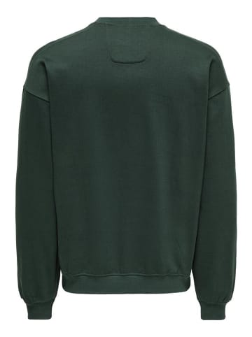 ONLY & SONS Bluza "Berry" w kolorze zielonym