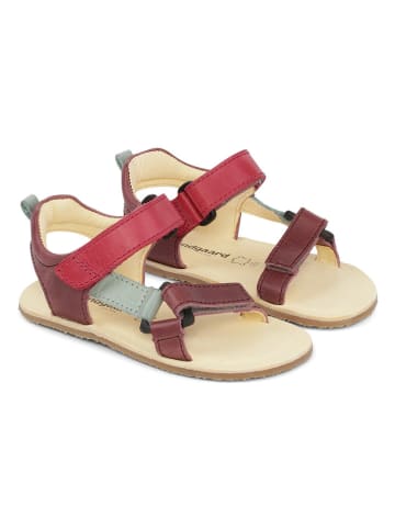 Bundgaard Leder-Sandalen "Skye II" in Dunkelrosa