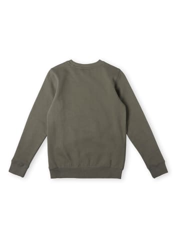 O'Neill Bluza "Skate Dude" w kolorze khaki