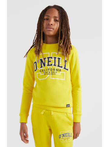 O'Neill Sweatshirt "Surf State" in Gelb