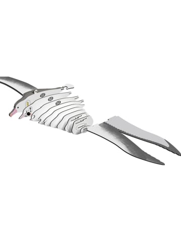Eugy 3D Bastelset "Royal Albatross" - ab 6 Jahren