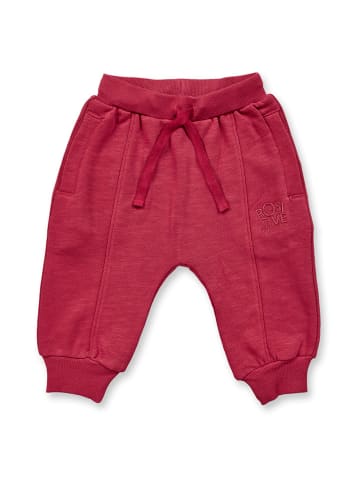 Sense Organics Sweatbroek "Hauke" rood