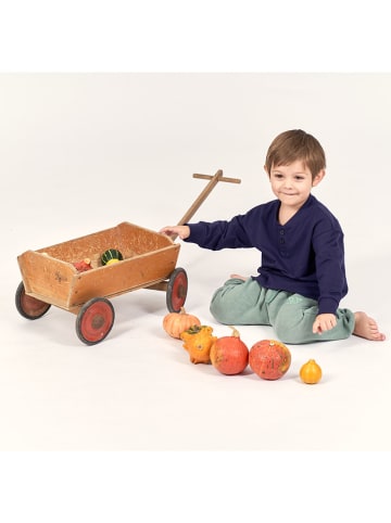 Sense Organics Sweathose "Kallos" in Türkis