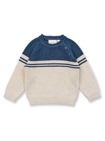 Sense Organics Trui "Victor" beige/donkerblauw