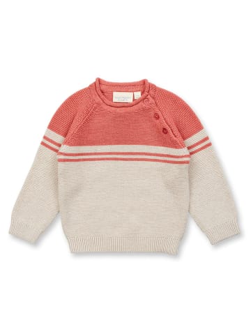 Sense Organics Pullover "Victor" in Beige/ Rot