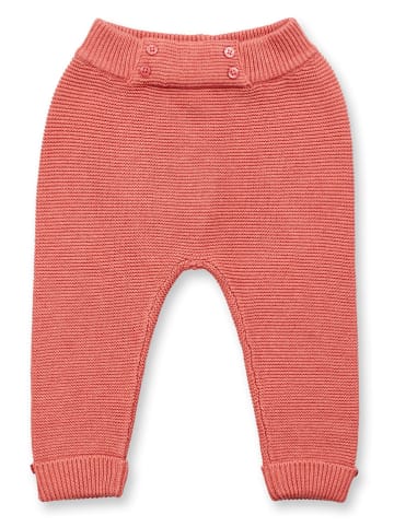 Sense Organics Gebreide broek "Proust" rood