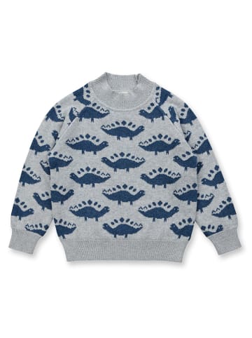 Sense Organics Pullover "Kuruk" in Grau