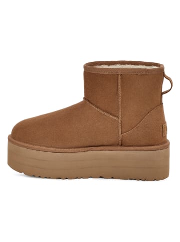 UGG Botki "W Classic Mini Platform" w kolorze jasnobrązowym z wełny jagnięcej