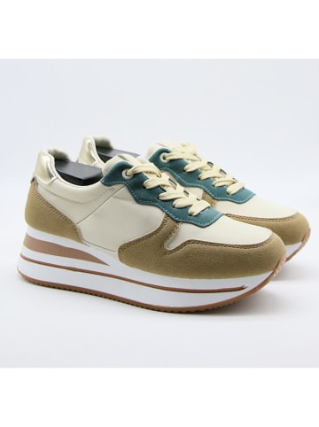 Belucci Sneakers in Beige/ Grün