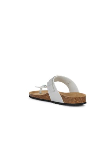 Geox Japonki "Brionia" w kolorze srebrnym