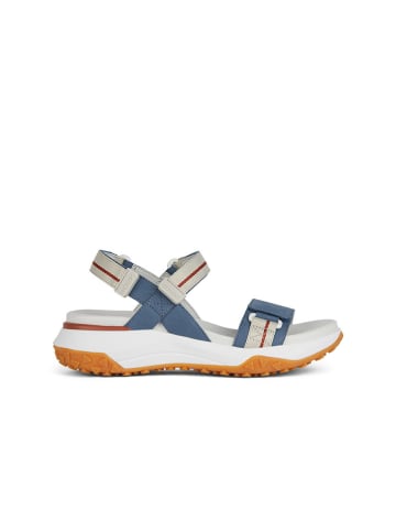 Geox Leder-Sandalen "Sorapis + Grip" in Weiß/ Blau