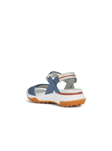 Geox Leren sandalen "Sorapis + Grip" wit/blauw