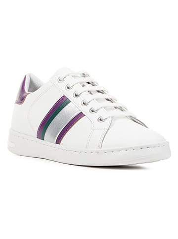 Geox Leder-Sneakers "Jaysen" in Weiß/ Lila/ Silber