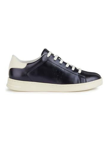 Geox Leder-Sneakers "Jaysen" in Dunkelblau/ Weiß