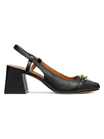 Geox Leder-Pumps "Coronilla" in Schwarz