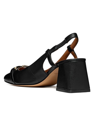 Geox Leder-Pumps "Coronilla" in Schwarz