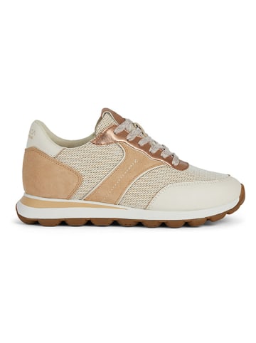 Geox Leder-Sneakers "Spherica Vseries" in Creme/ Orange