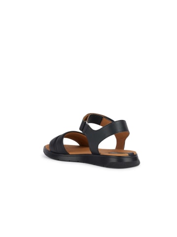 Geox Sandalen "Dandra" zwart