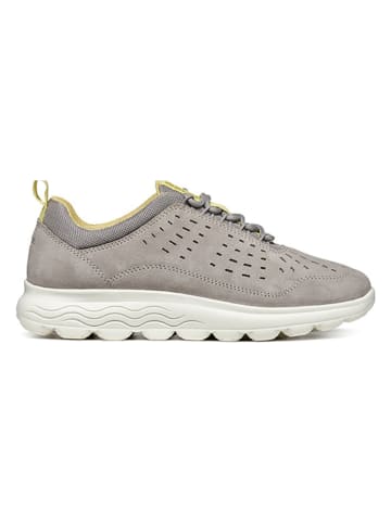 Geox Sneakers "Spherica" in Grau/ Gelb