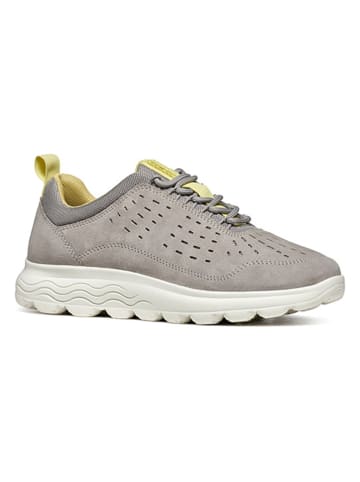 Geox Sneakers "Spherica" in Grau/ Gelb
