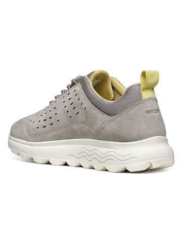 Geox Sneakers "Spherica" in Grau/ Gelb