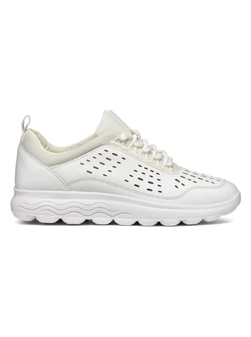 Geox Sneakers "Spherica" in Weiß/ Creme