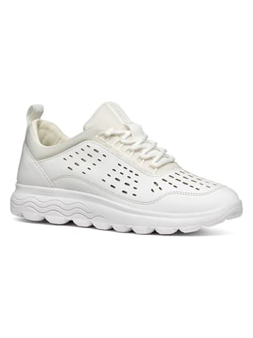 Geox Sneakers "Spherica" in Weiß/ Creme