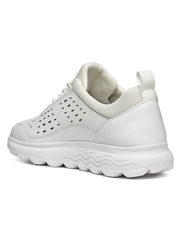 Geox Sneakers "Spherica" in Weiß/ Creme