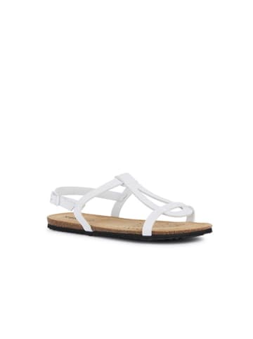 Geox Sandalen "Brionia" in Weiß