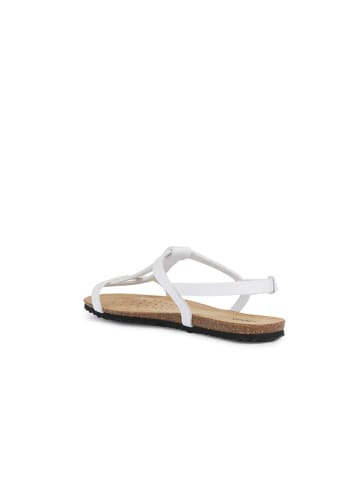 Geox Sandalen "Brionia" in Weiß