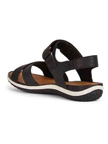 Geox Sandalen "Vega" in Schwarz