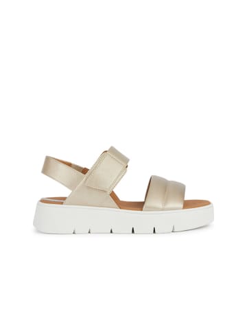 Geox Sandalen "Dandra 40" in Gold