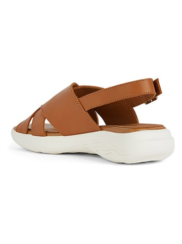 Geox Sandalen "Spherica EC5" in Hellbraun