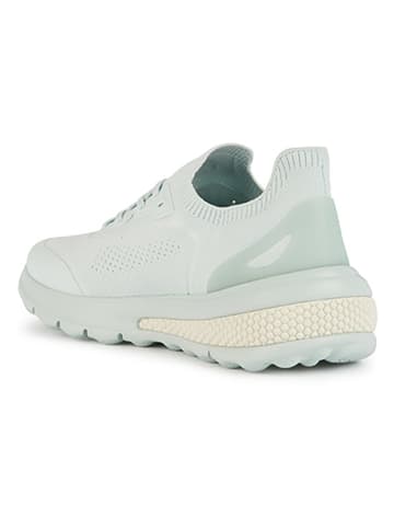 Geox Sneakers "Spherica Actif" lichtblauw