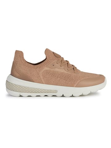 Geox Sneakers "Spherica Actif" lichtbruin