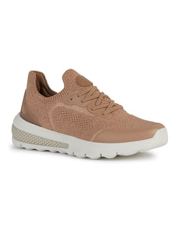 Geox Sneakers "Spherica Actif" in Hellbraun