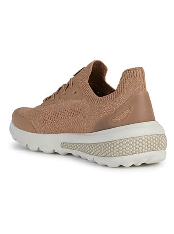 Geox Sneakers "Spherica Actif" in Hellbraun