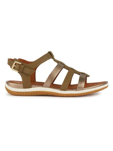 Geox Leder-Sandalen "Vega" in Khaki/ Braun