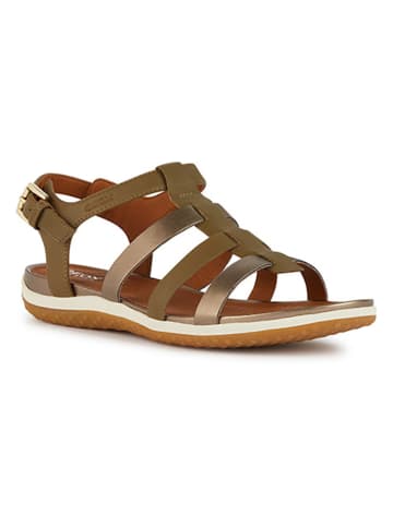 Geox Leder-Sandalen "Vega" in Khaki/ Braun