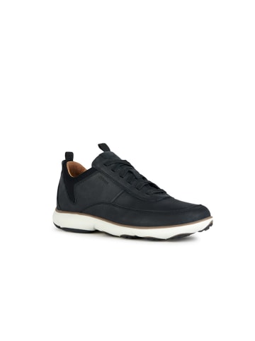 Geox Leder-Sneakers "Nebula" in Dunkelblau