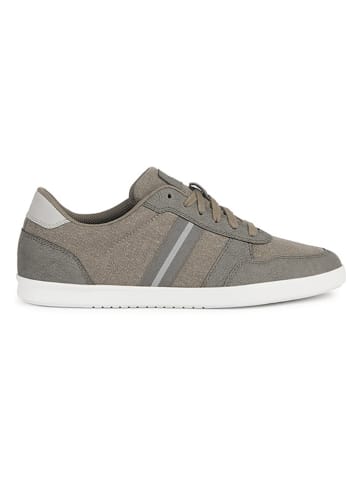 Geox Sneakers "Walee" in Khaki