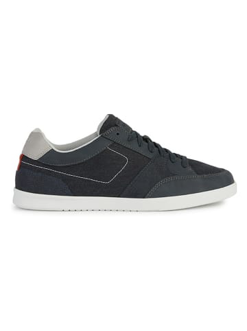 Geox Sneakers "Walee" in Dunkelblau